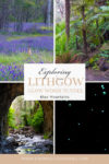 Lithgow glow worm tunnel