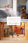 Stray vs free-roaming cats