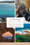 Things to do in Narooma