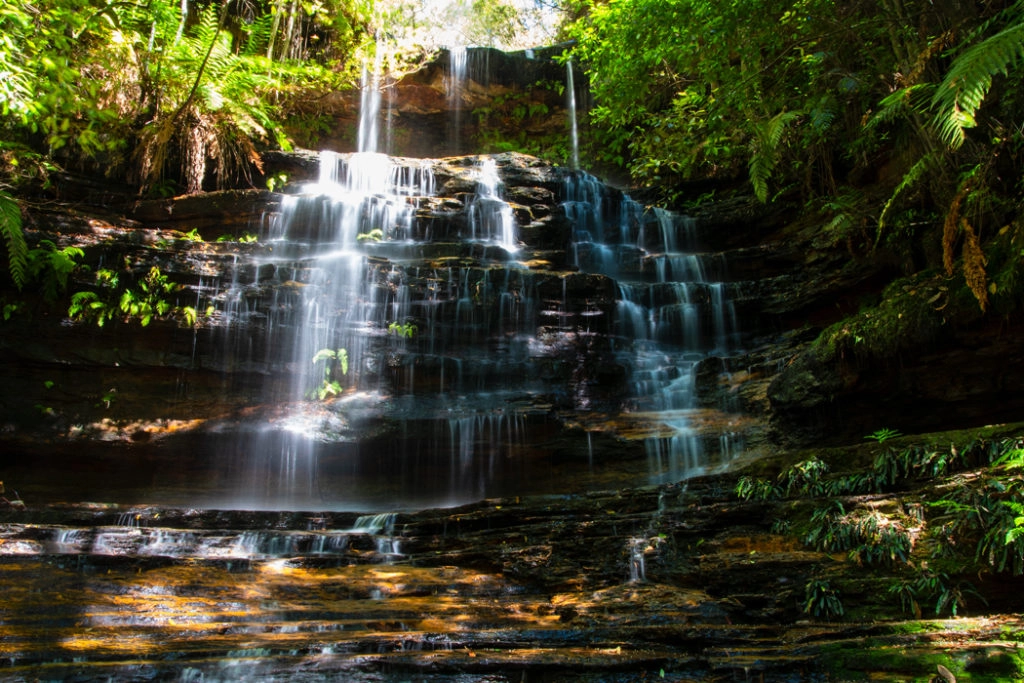 Junction Falls along South Lawson Waterfall Circuit Walk