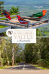 Things to do in Kangaroo Valley
