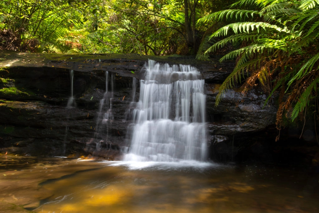 Unnamed waterfall on South Lawson Waterfall Circuit walk