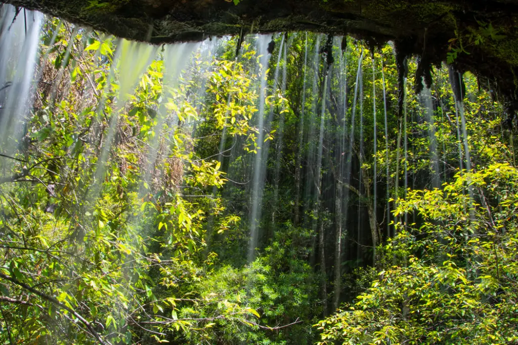 South Lawson Waterfall Circuit Walk