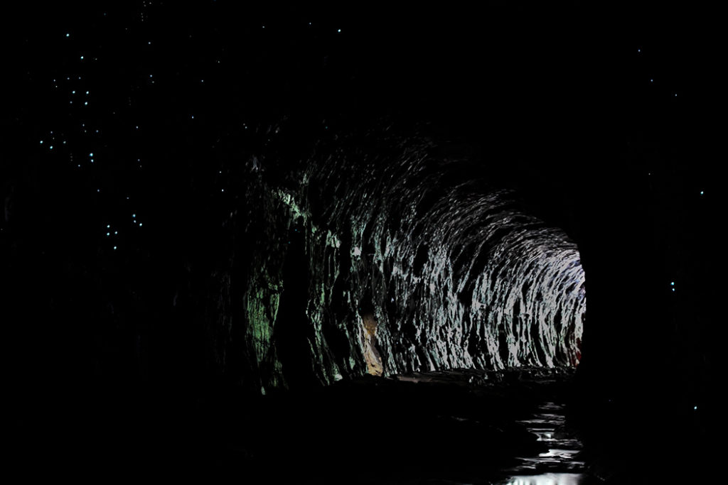 Glow worms at Lithgow Tunnel