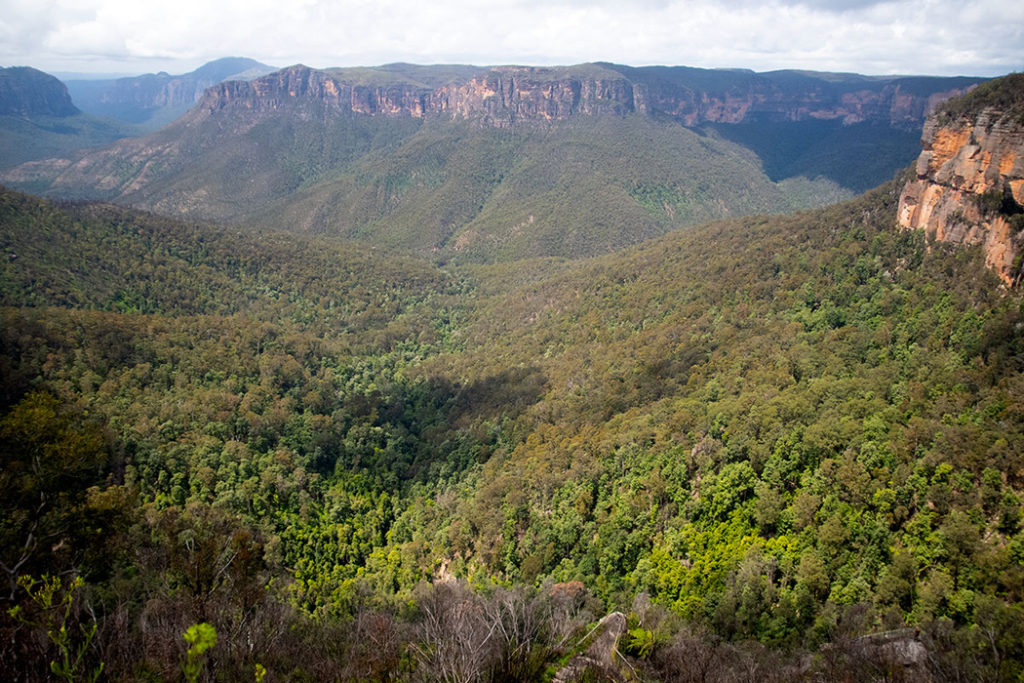 Blue Mountains lookouts - Govett's leap