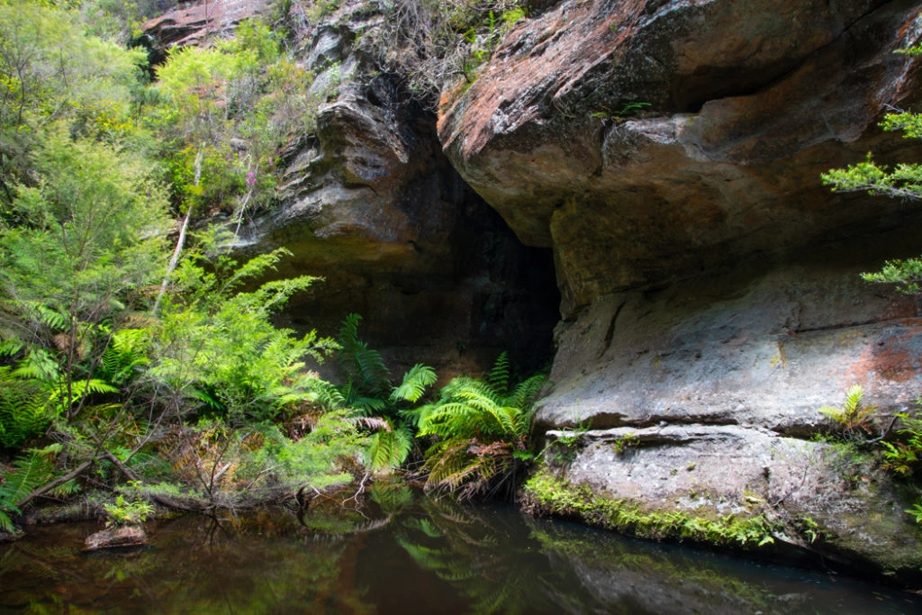 Greaves Creat, Walls Cave trail