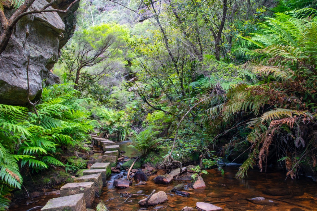 Walls Cave - Greaves Creek