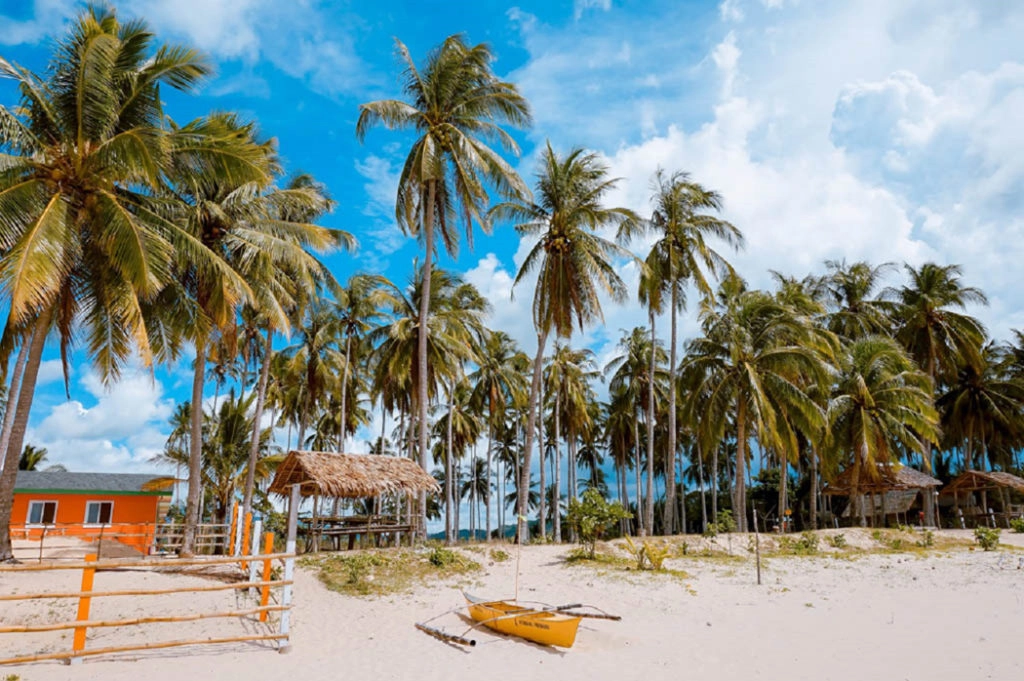 Honda Bay Islnad Hoping in Palawan