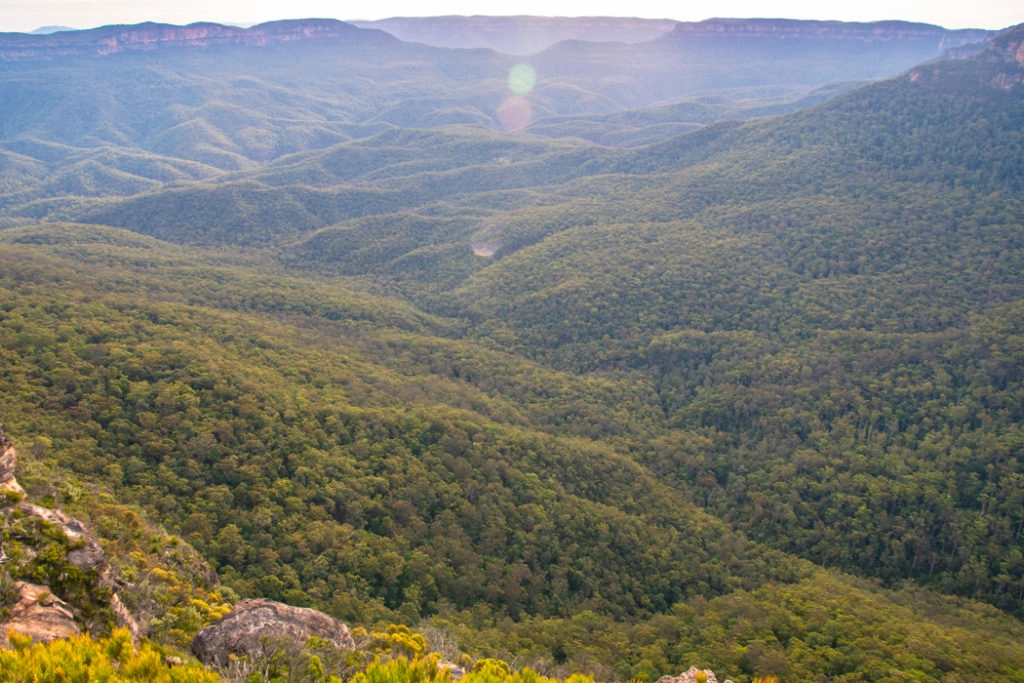 Blue mountains lookouts - Lincoln's rock