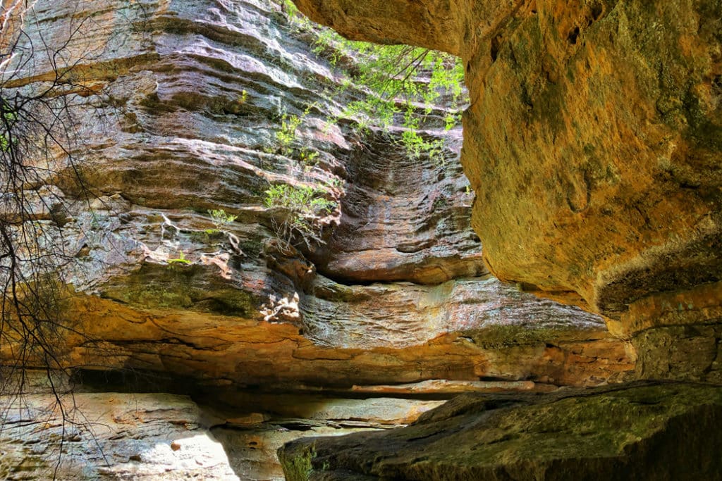 Slot canyon on Walls Cave walk