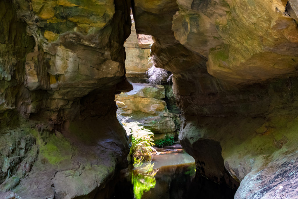 Walls Cave canyon