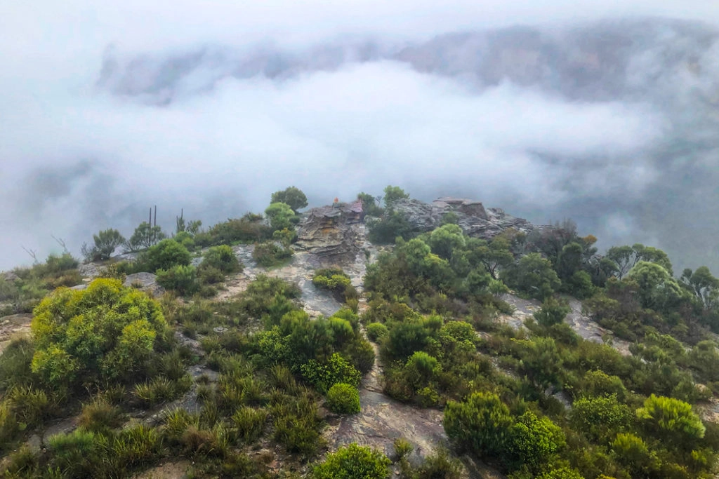 Walls Lookout in the mist, Blue Mountains