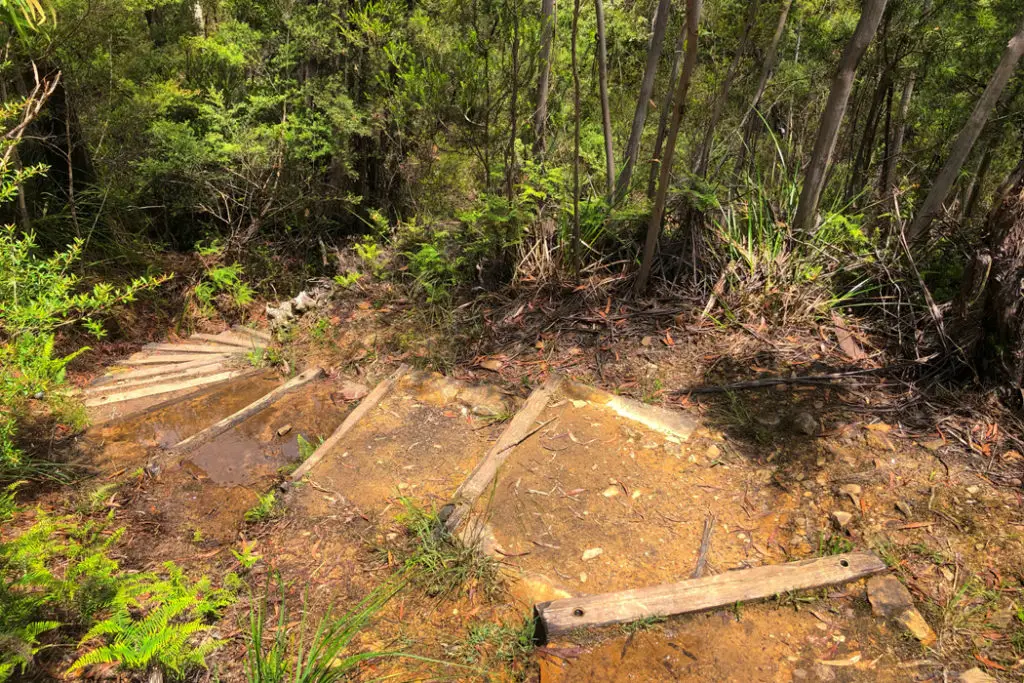 switchback on walls cave trail in blackheath