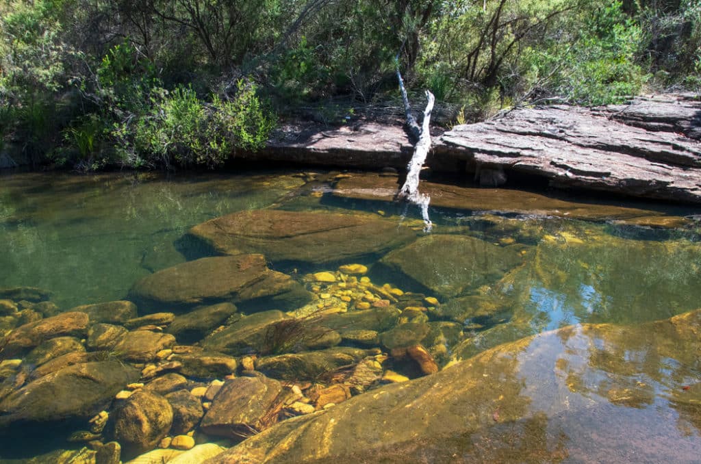 crystal clear water in kangaroo creek