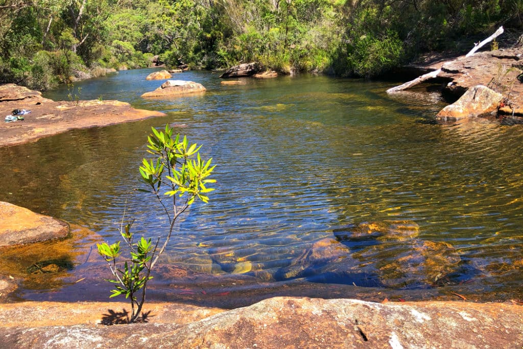 kangaroo creek - shallow end