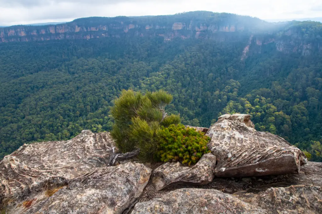 Blue mountains lookout - Landslide lookout