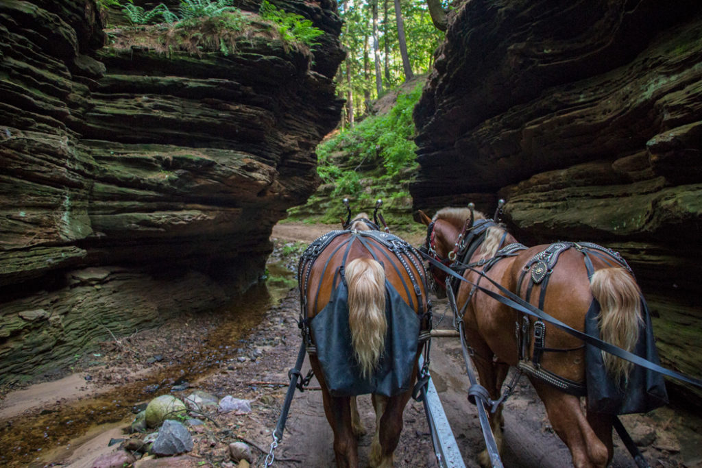 Lost Canyon in Wisconsin Dells