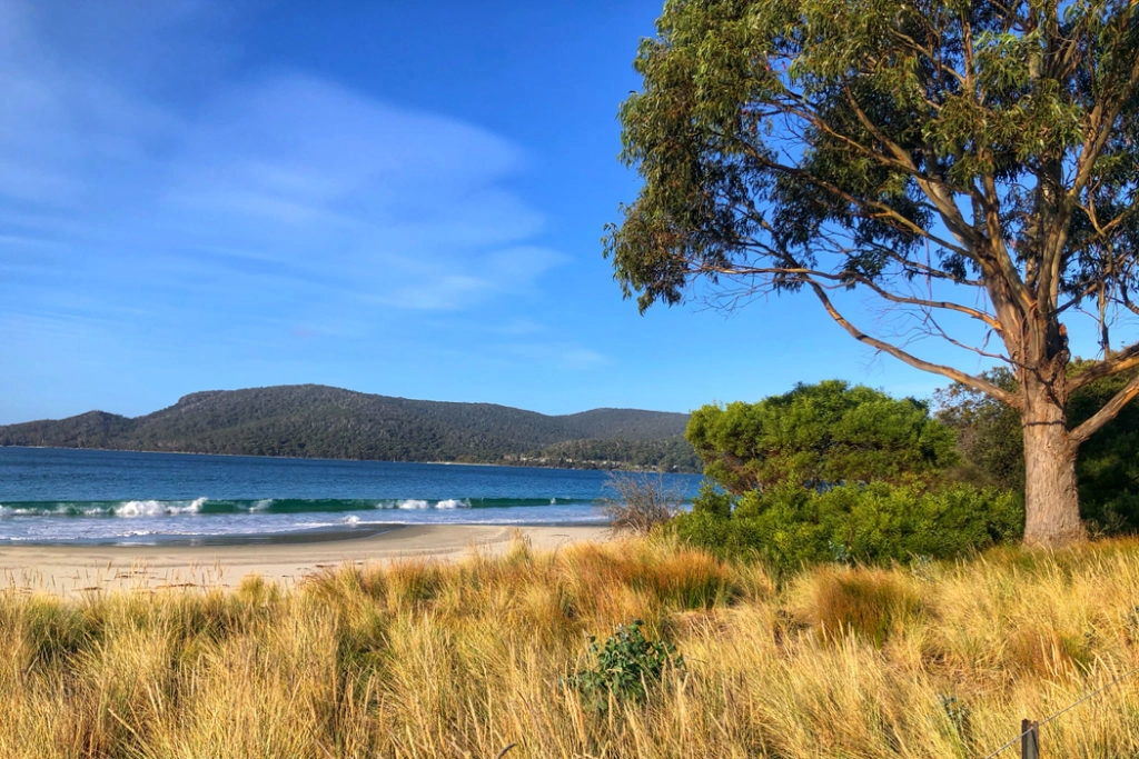 South Bruny Island