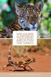 Wildlife watching around the world