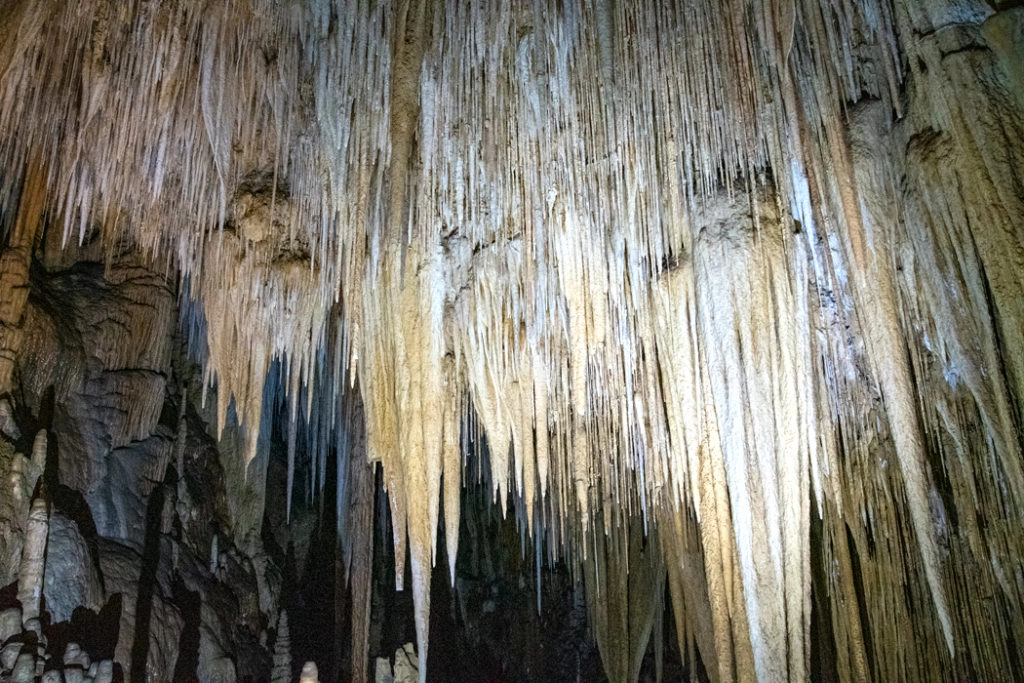 hastings caves straws