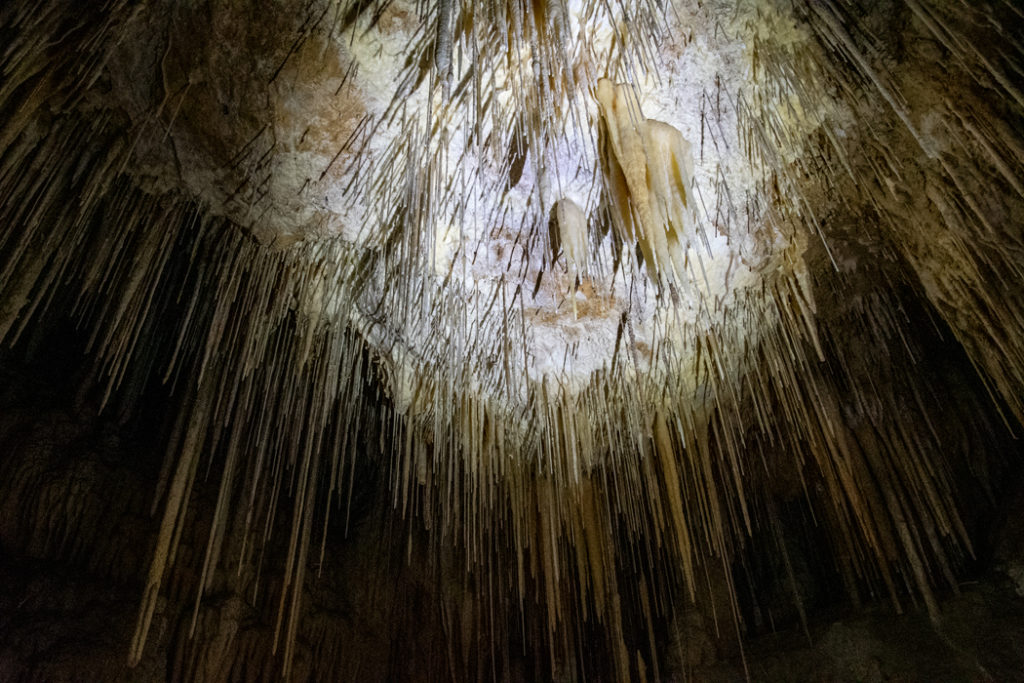 hastings cave roof