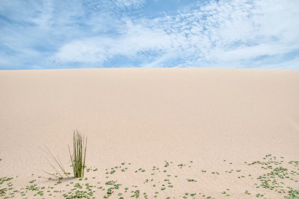 sand dunes on Marley beach