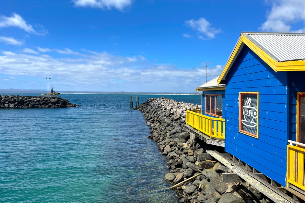 Things to do in Stanley - Seal Cruise