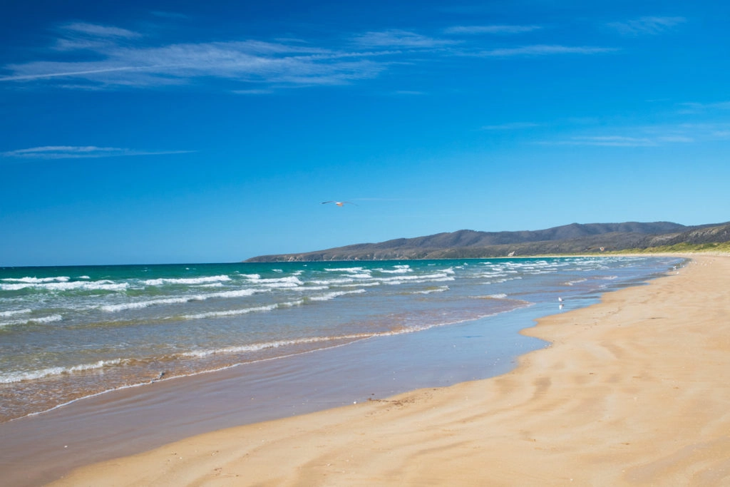 Bakers Beach in Tasmania