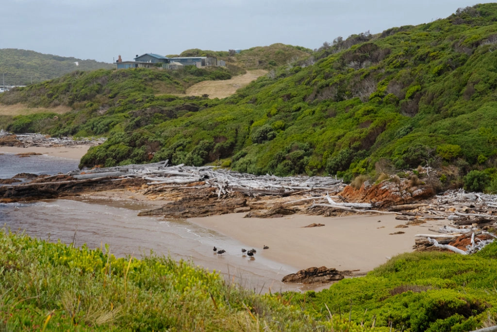 Beach at edge of the world