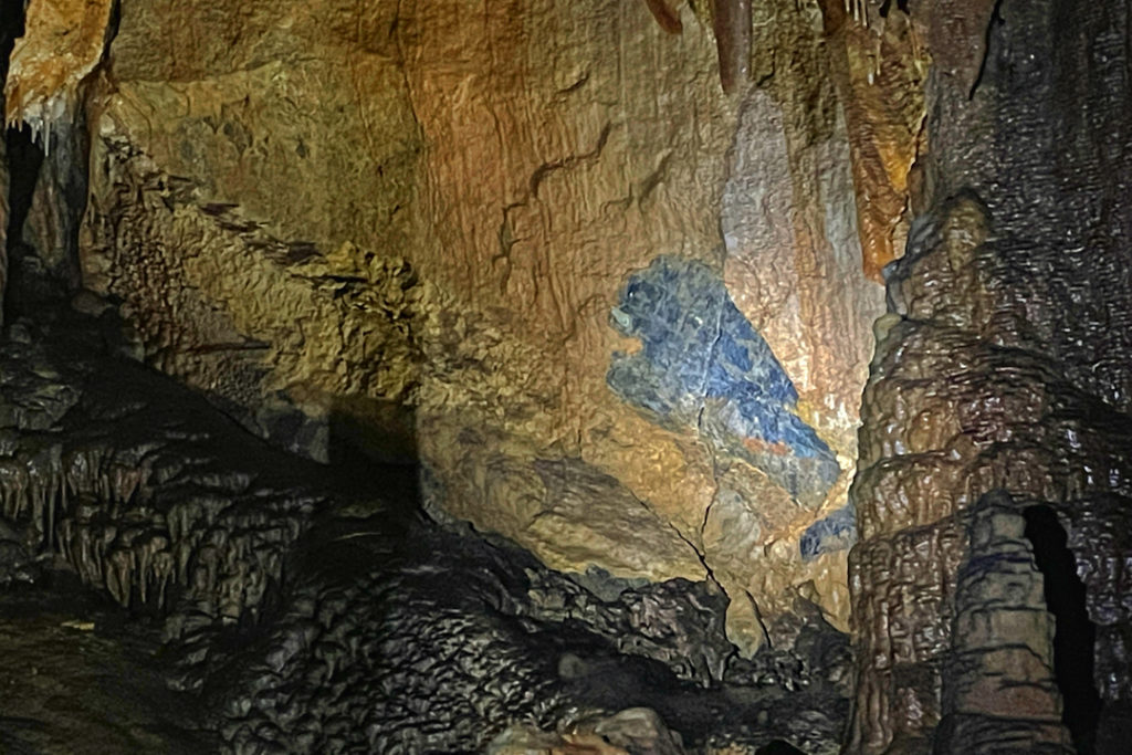 Black bear formation in Gunns Plains Caves