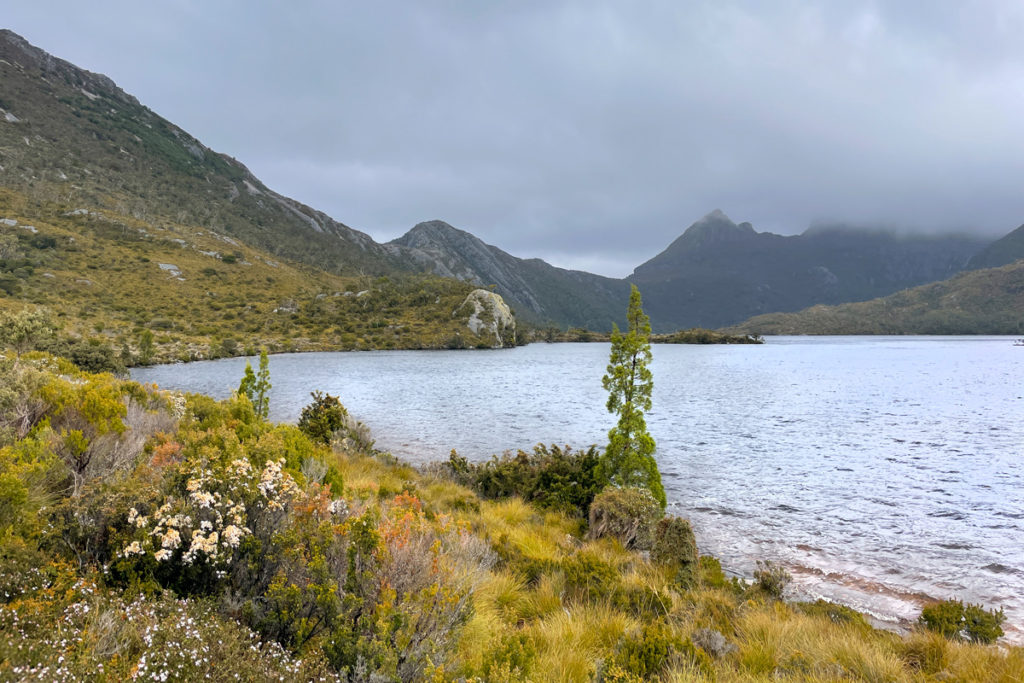 Things to do at cradle mountain - Dove lake circuit