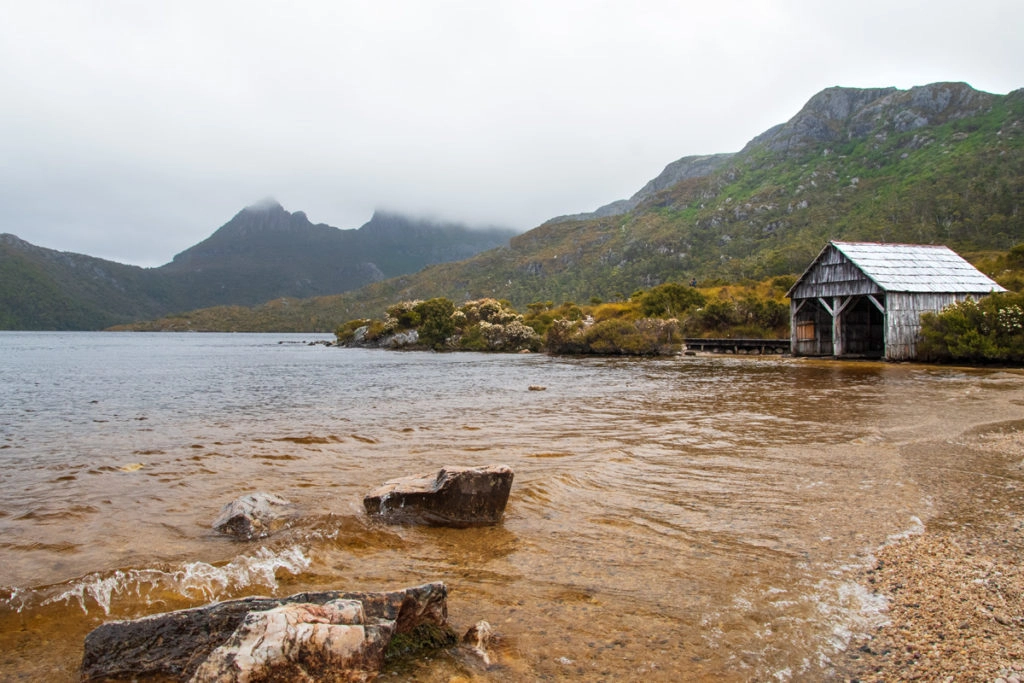 Tings to do in Cradle Mountain - Dove Lake walk
