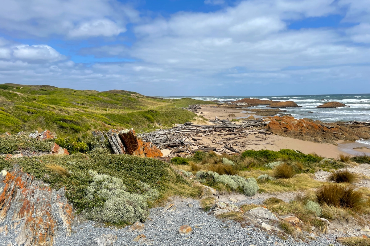 Beach at the Edge of the World Tasmania