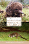 Mountain Valley wilderness holidays review
