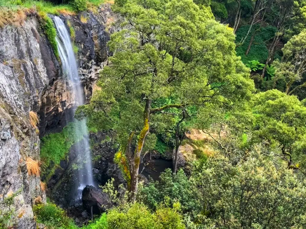 Preston Falls, north west Tasmania