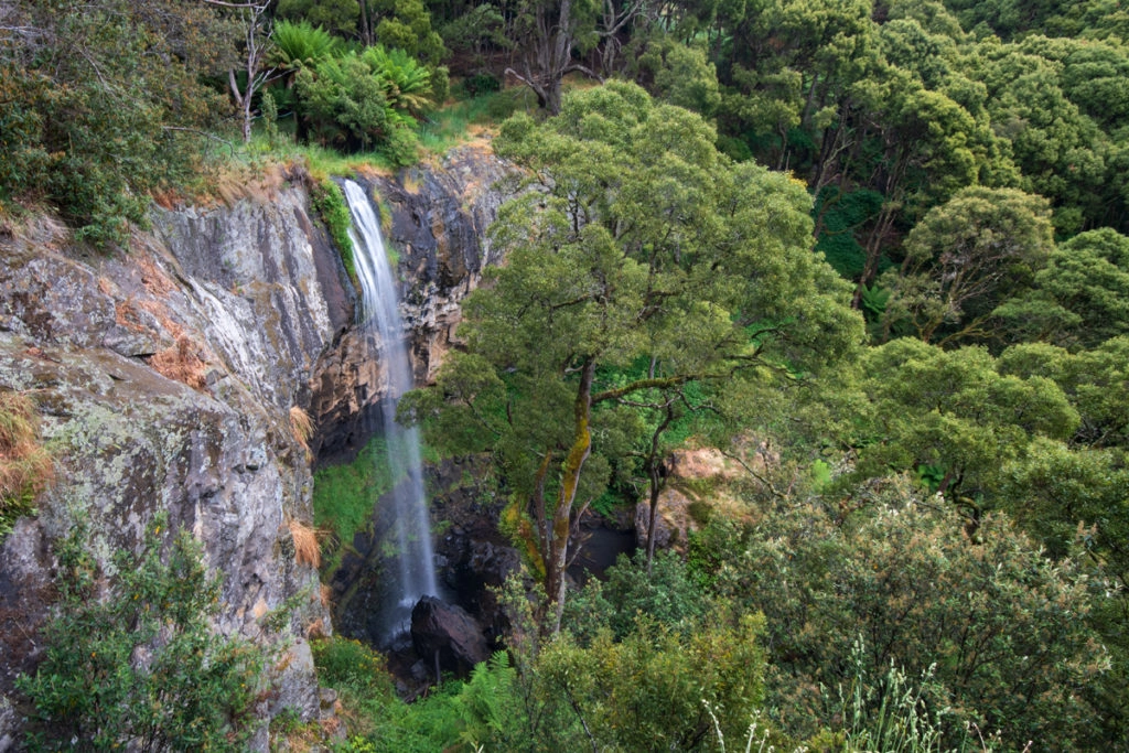 Preston Falls, Tasmania