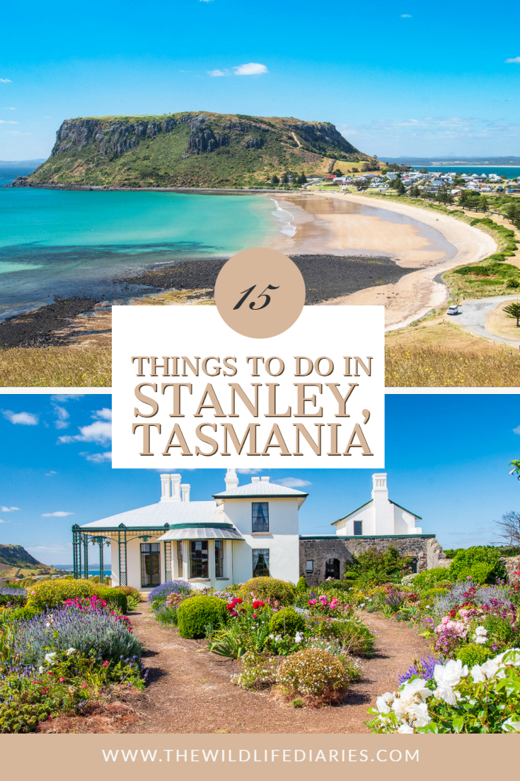 tourism stanley tasmania