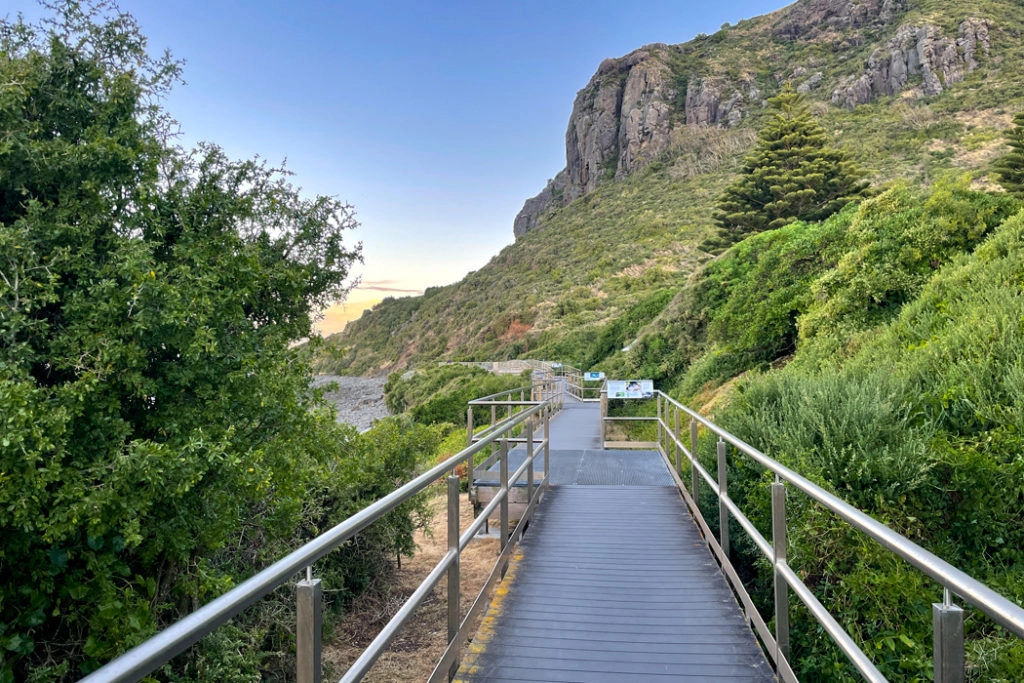 Stanley penguin watching platform