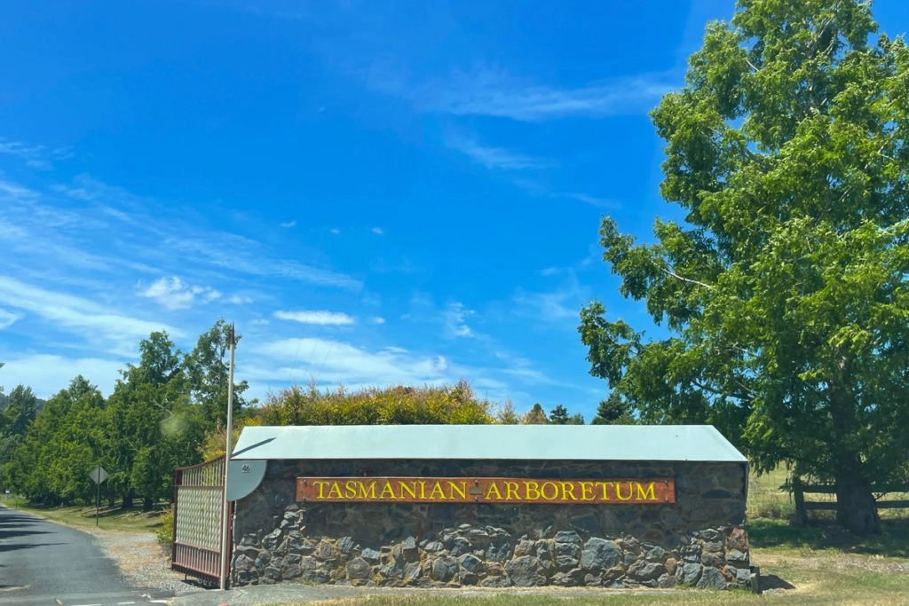 Tasmanian arboretum