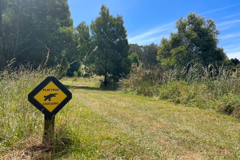 platypus crossing sign