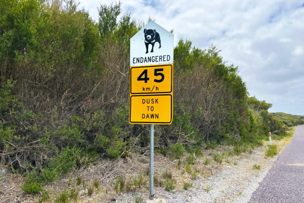 Road sign on Tarkine Drive