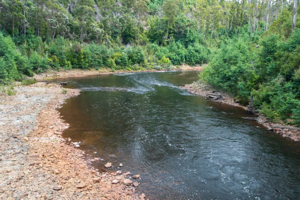 Tayatea Bridge on Tarkine drive