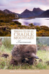 Things to do in Cradle Mountain