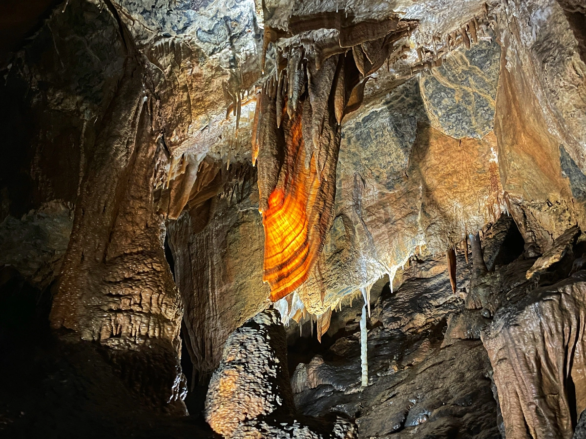 Things to do in Tasmania - Gunns Plains caves