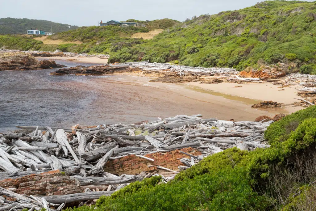 Edge of the World, Tarkine Drive