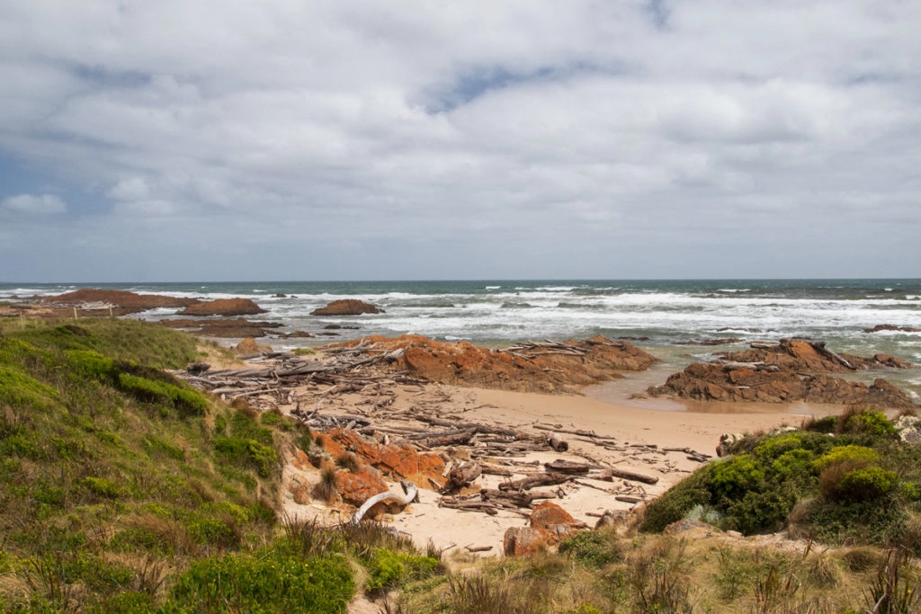 Edge of the World, Tarkine Drive