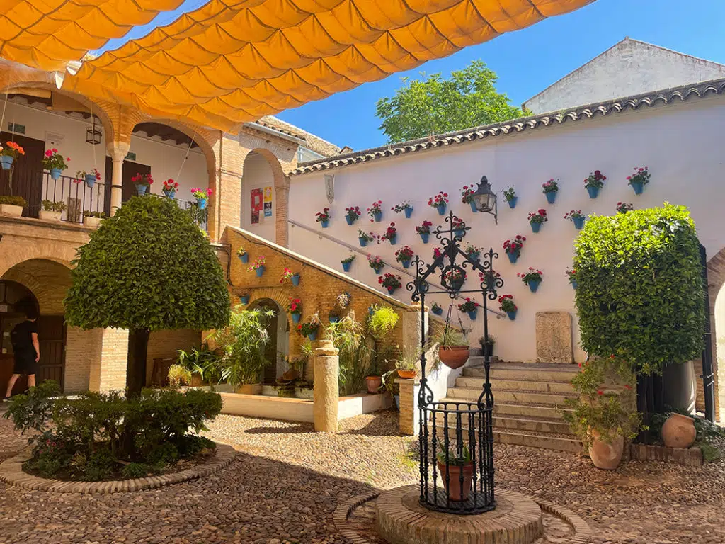 Things to do in cordoba - zoco municipal