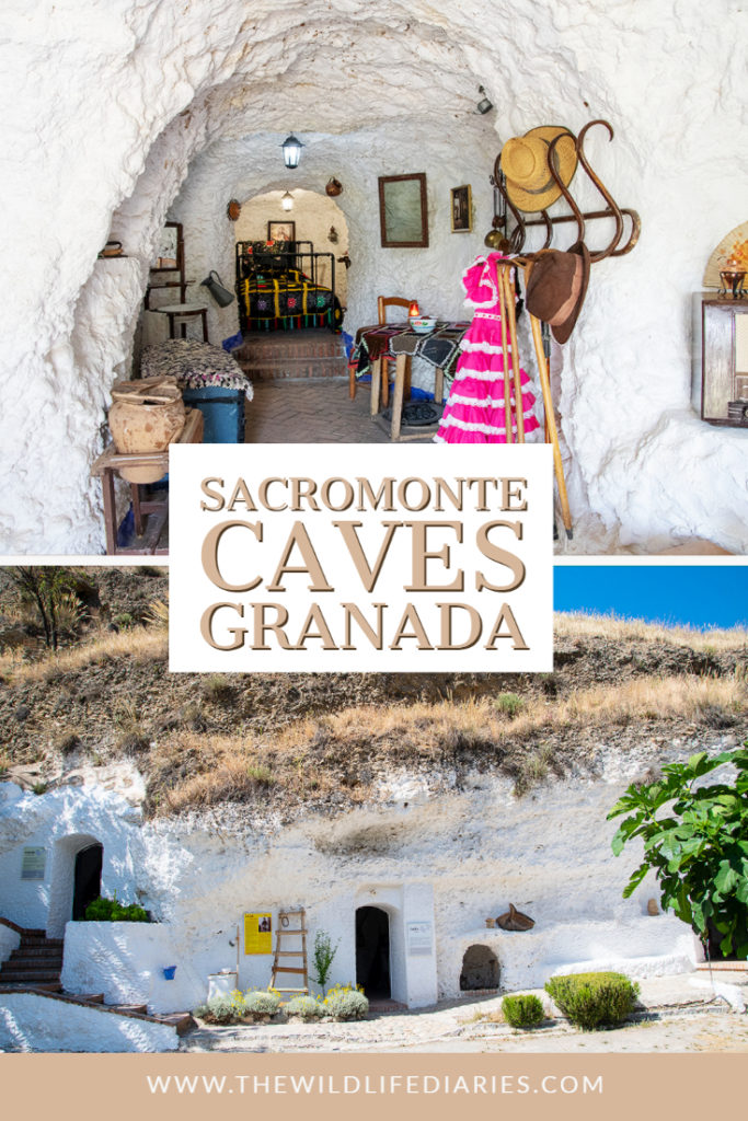 Sacromonte caves in Granada