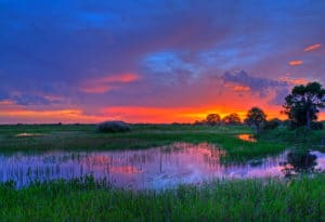 National Parks in Florida - Everglades