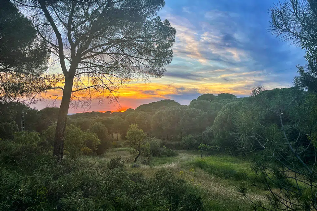 Andalusian sunset